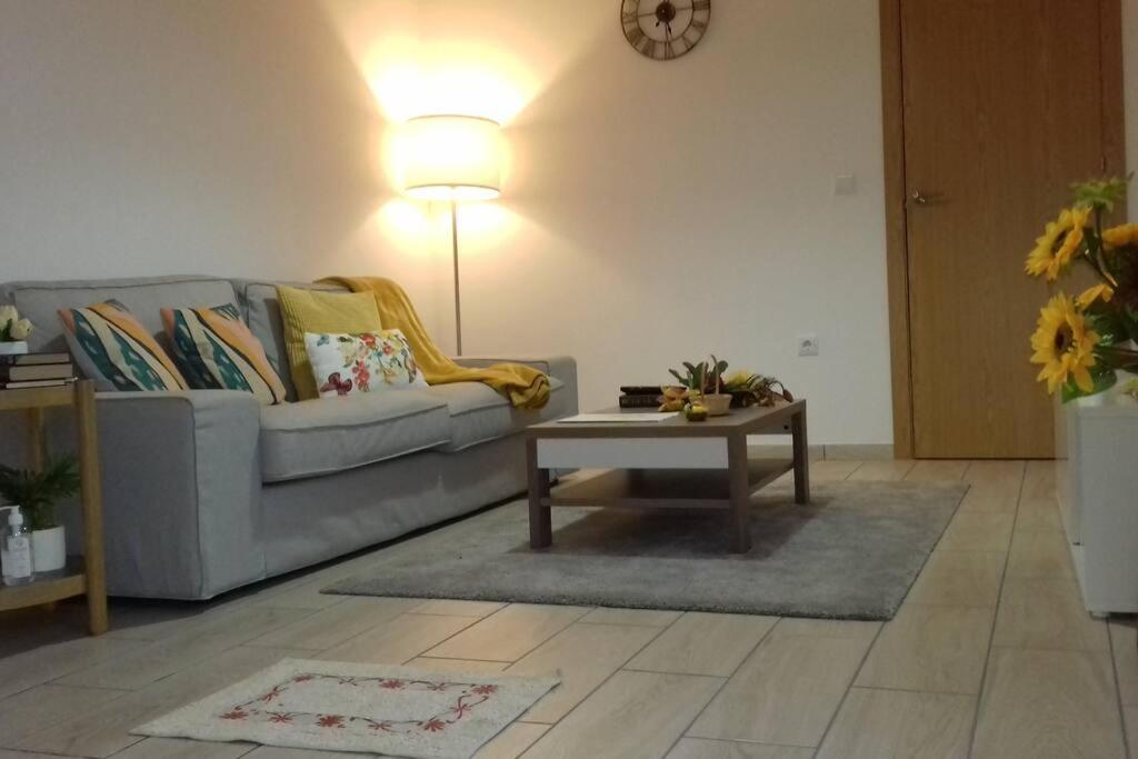 Sunflower Guest House - Madalena - Pico Sao Caetano  Extérieur photo