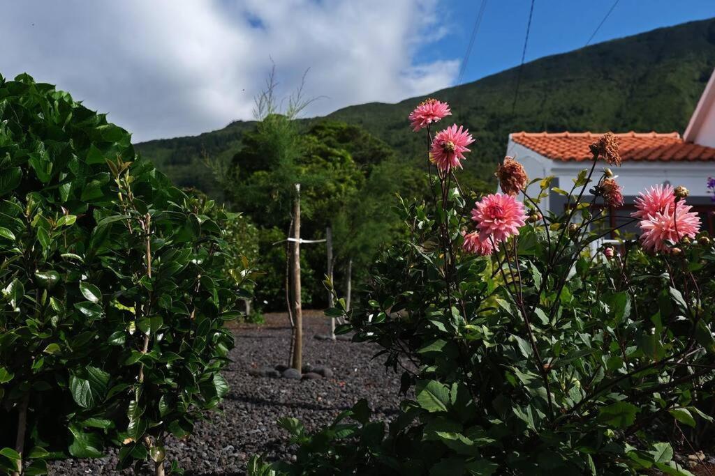 Sunflower Guest House - Madalena - Pico Sao Caetano  Extérieur photo