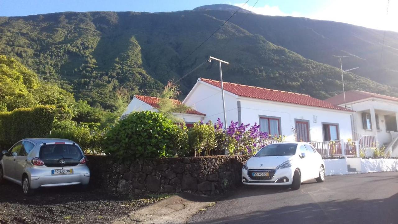 Sunflower Guest House - Madalena - Pico Sao Caetano  Extérieur photo