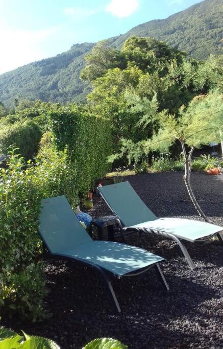 Sunflower Guest House - Madalena - Pico Sao Caetano  Extérieur photo